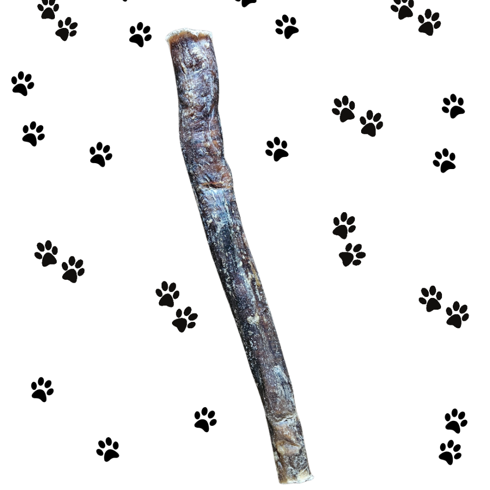 Buffalo Pizzle approx 24cm – Natural Long-Lasting Dog Chew