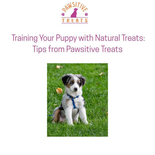 🐾 Training Your Puppy with Natural Treats: Tips from Pawsitive Treats