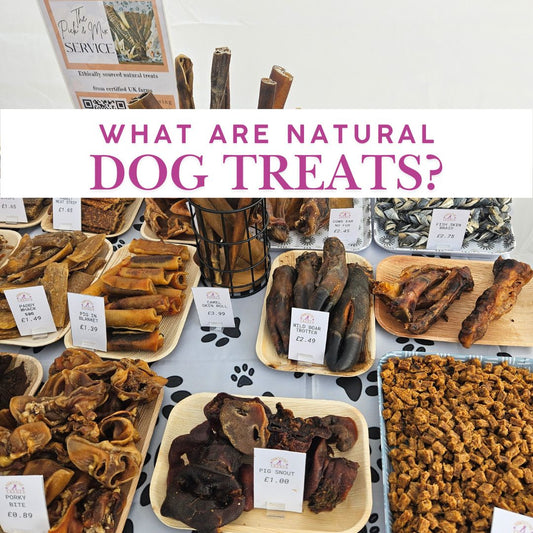 What Are Natural Dog Treats?