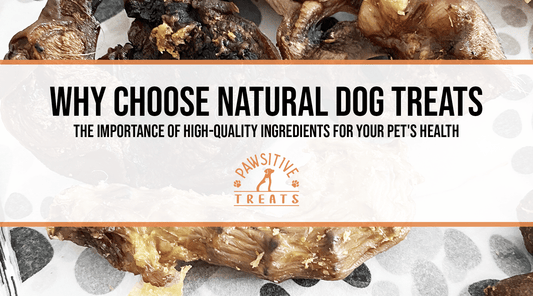 Why Choose Natural Dog Treats: The Importance of High-Quality Ingredients for Your Pet's Health - Pawsitive Treats