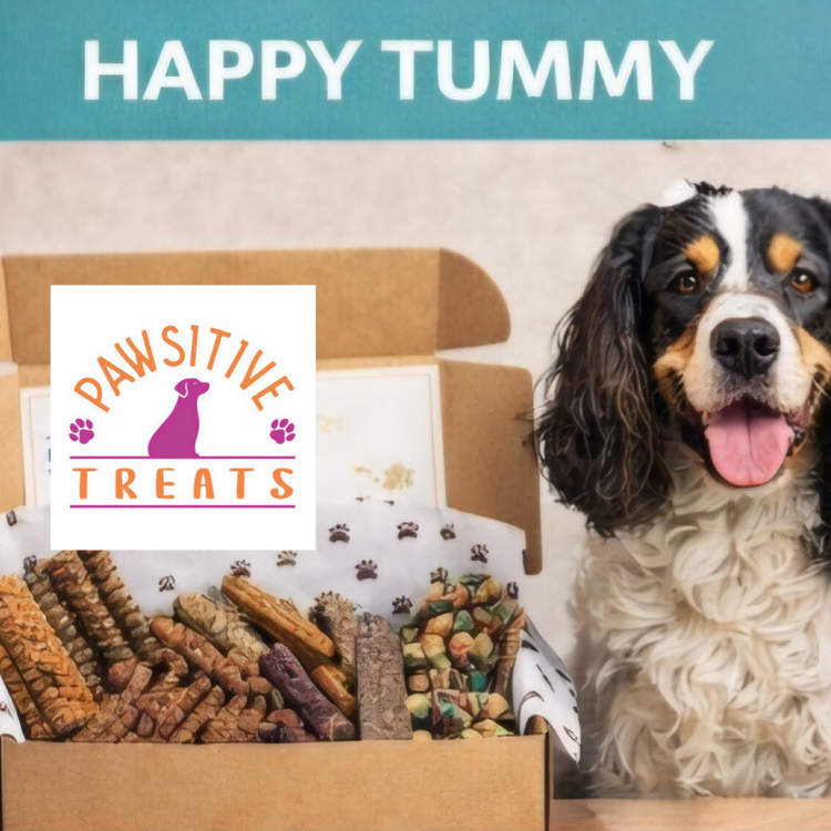 Gentle Digestion Natural Treats