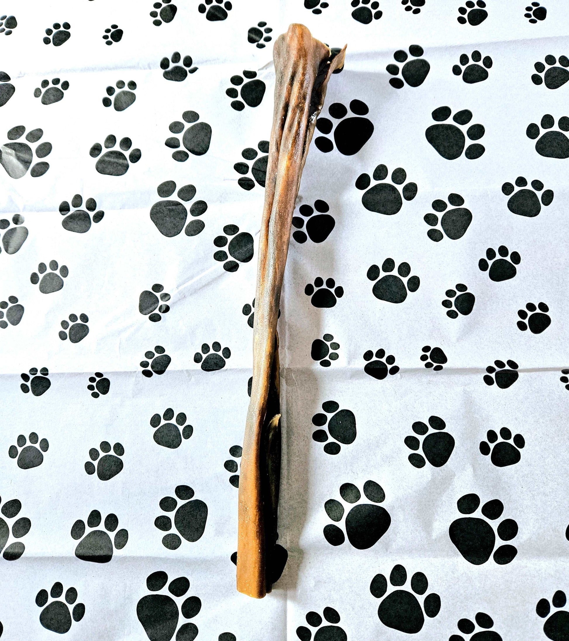 Camel Skin Roll 30cm Long