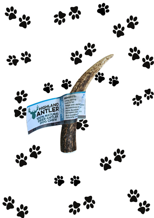 Antler Chew - Small