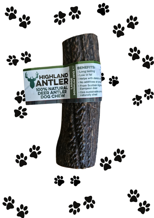 Antler Chew - Large