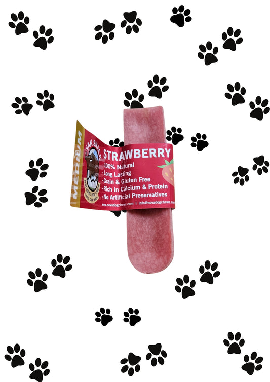 Himalayan Strawberry Yak Bar - Medium