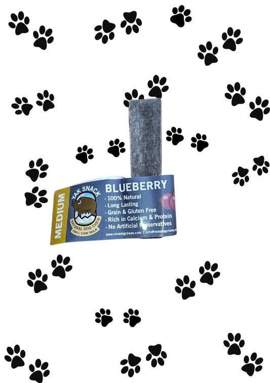 Himalayan Blueberry Yak Bar - Medium