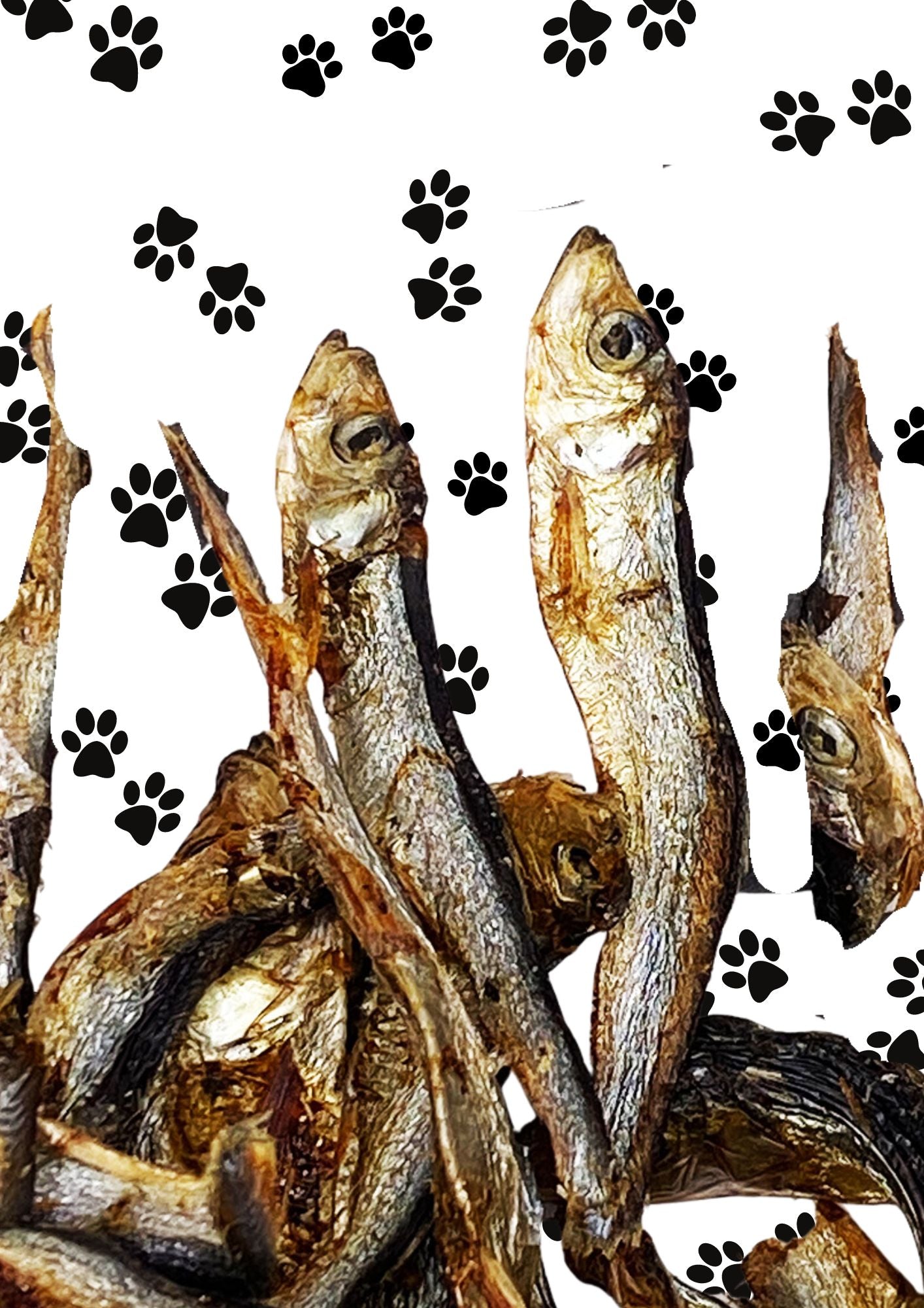 Dried Baltic Sprats 50g