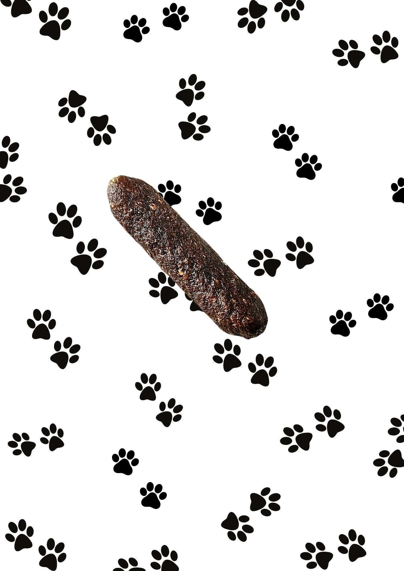 Duck & Orange Dog Treats | Natural Meaty Sausages