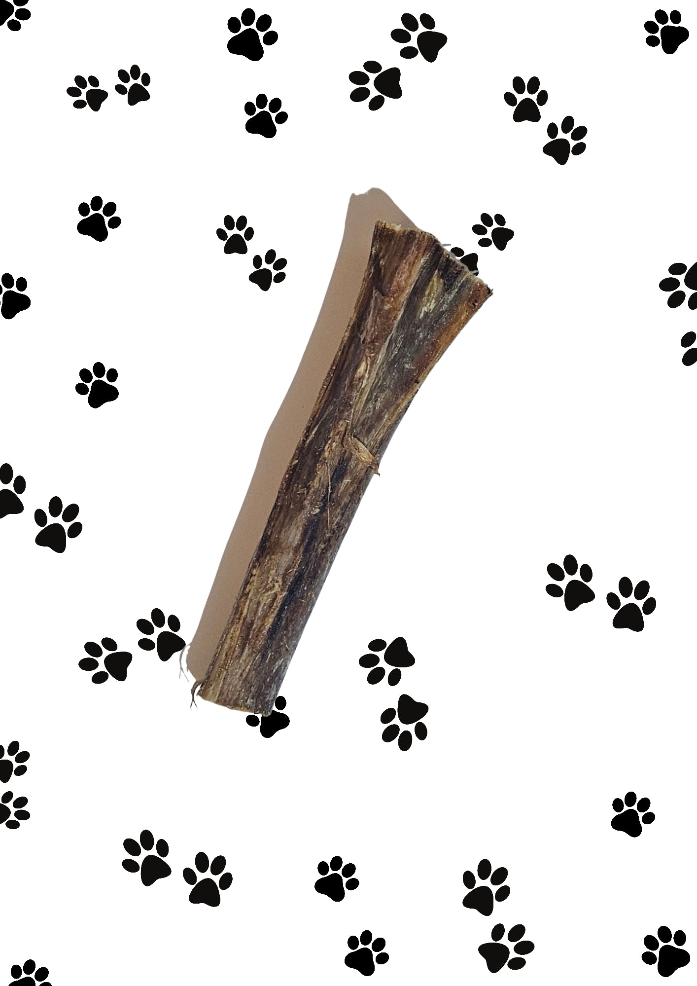 Ostrich Marrow Bone 18cm Approx