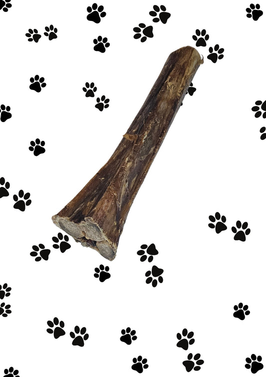 Ostrich Marrow Bone 18cm Approx