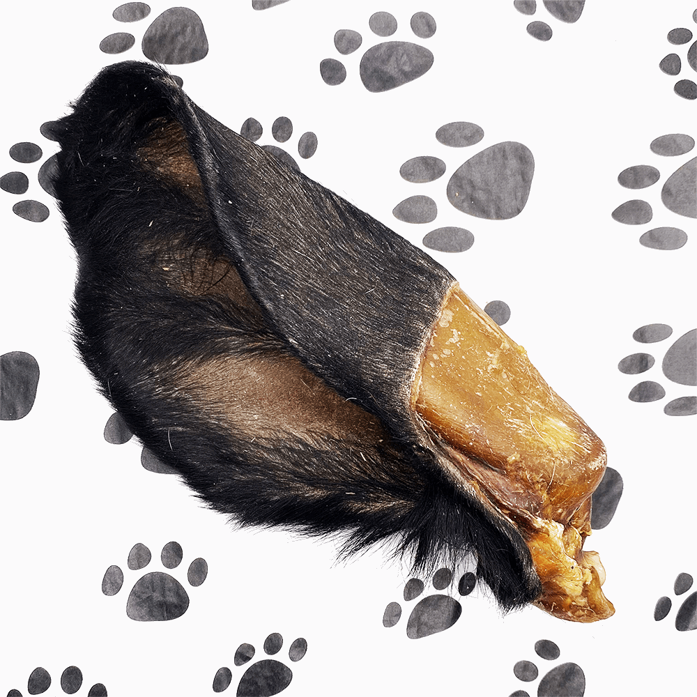 Large Cow Ear With Fur - Pawsitive Treats