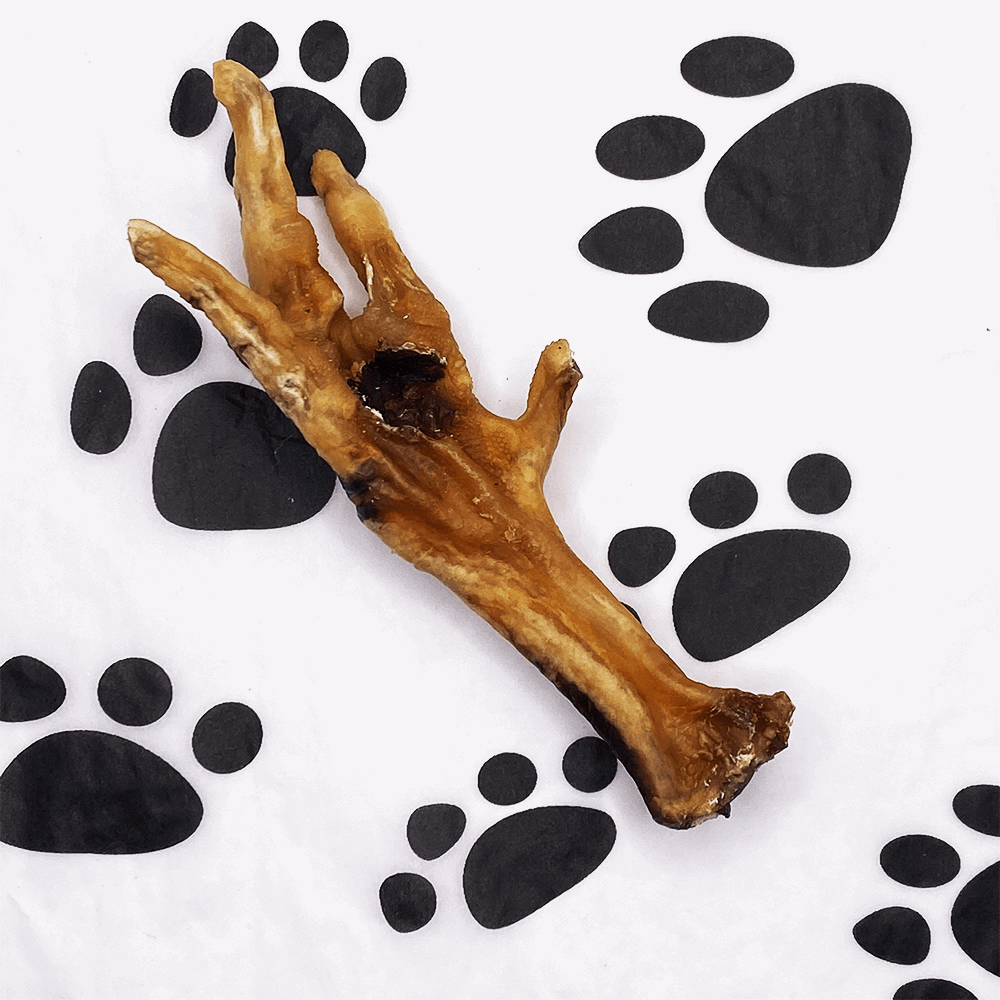 Natural Chicken Foot - Pawsitive Treats