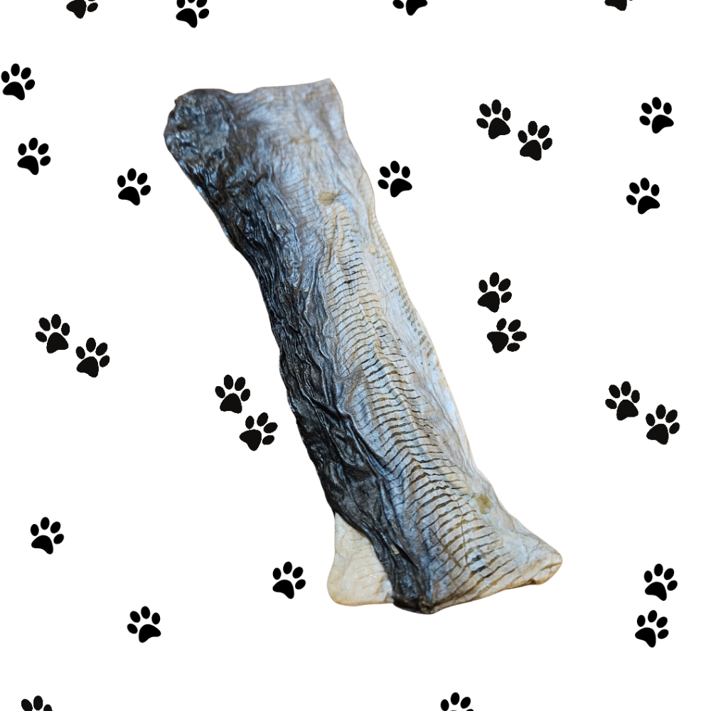 Fish Flatties Dog Treats – Natural Omega-Rich Chews