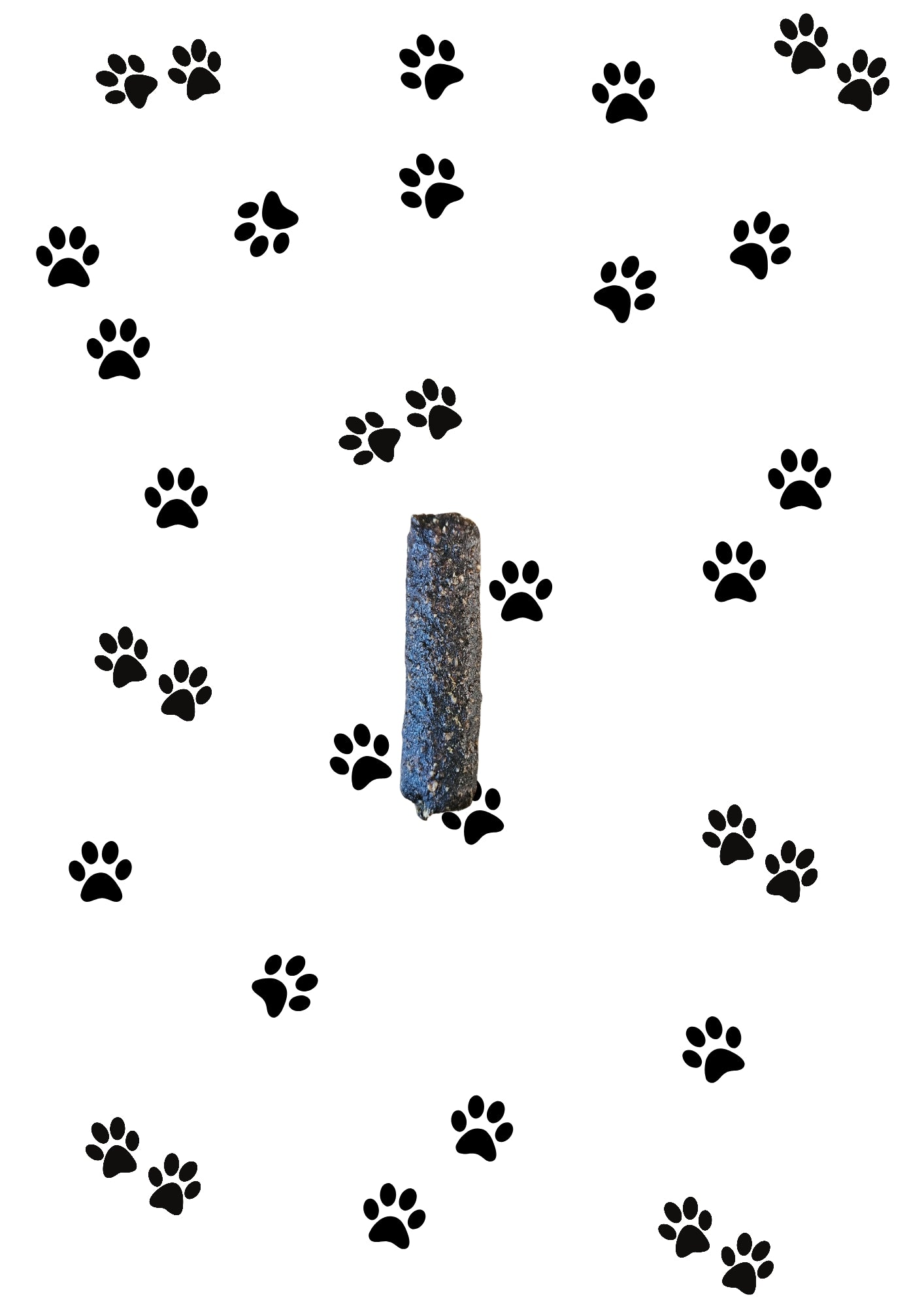 Duck & Orange Dog Treats | Natural Meaty Sausages