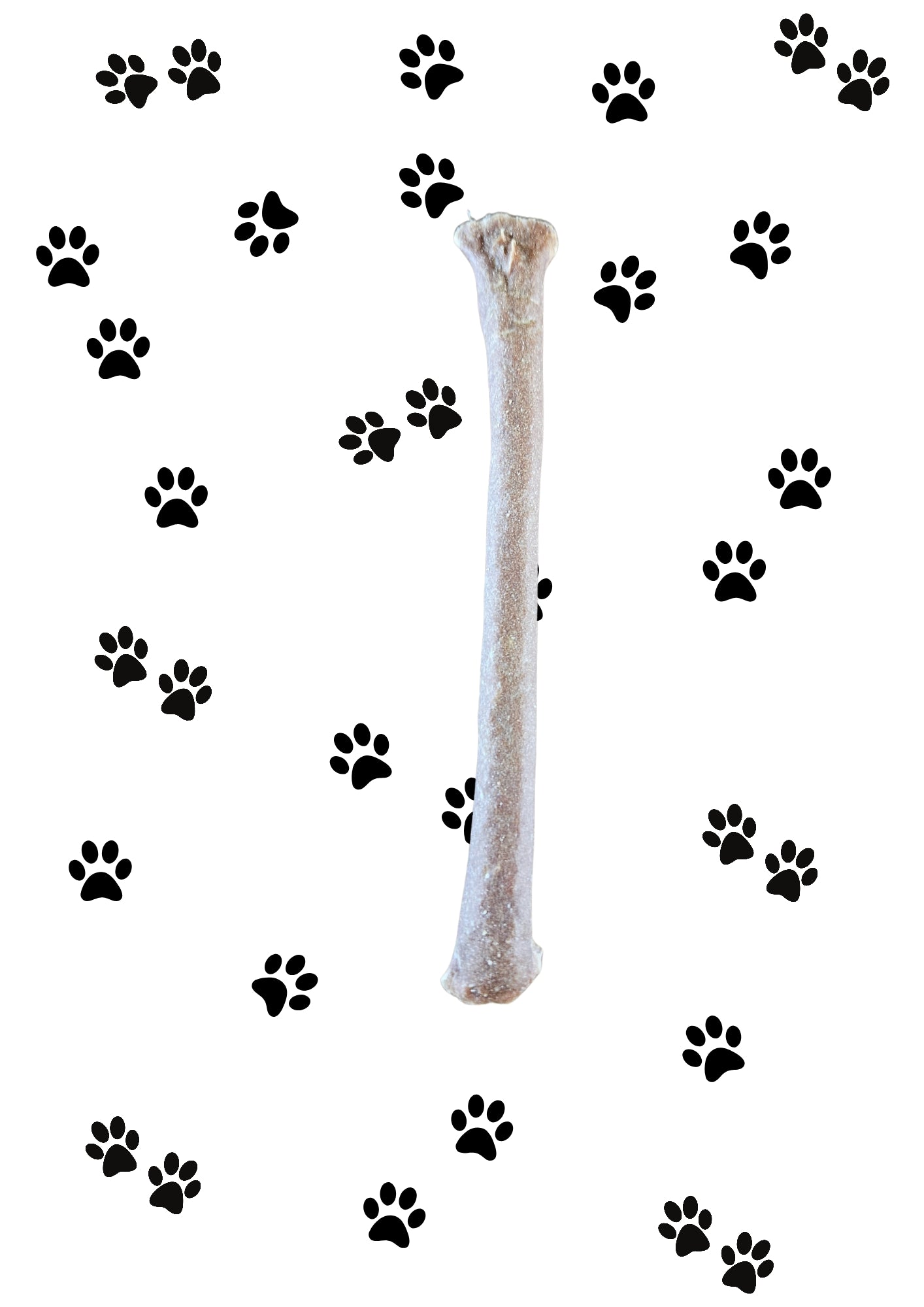 Ostrich Muscle Meat Stick for Dogs | Natural Hypoallergenic Treat UK