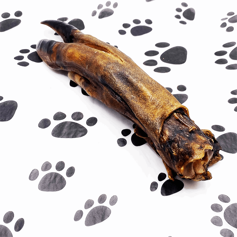 Wild Boar Trotter - Pawsitive Treats