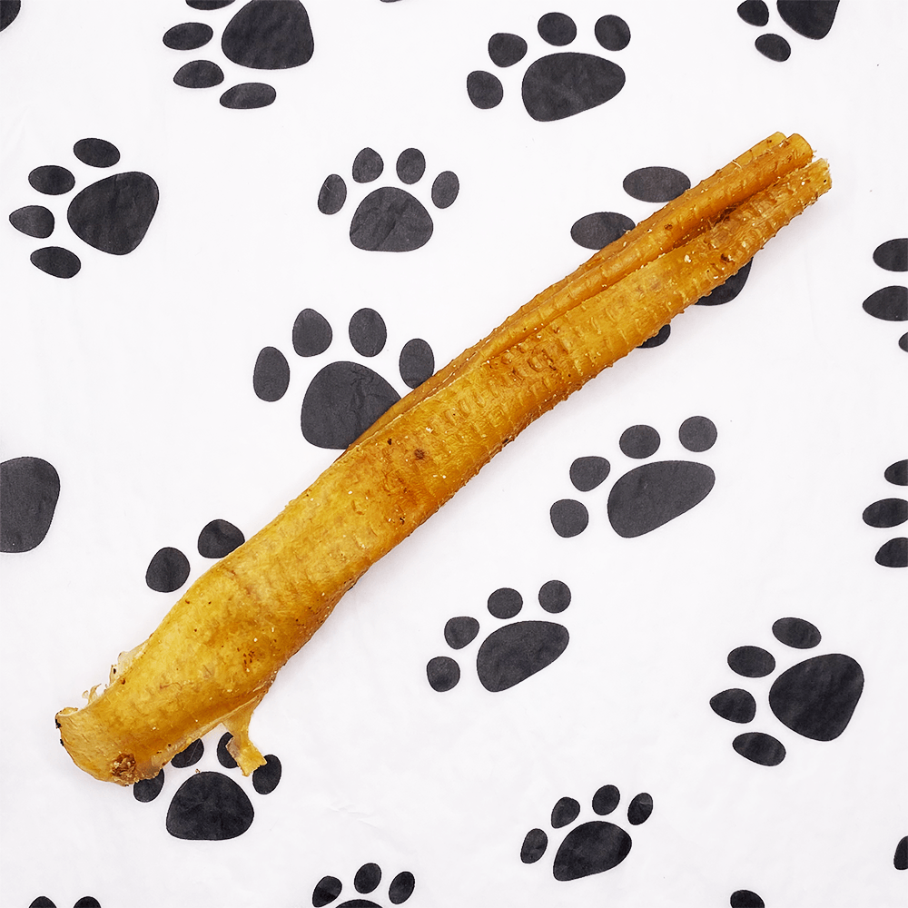 Pork Rind Roll Bar (20cm) - Pawsitive Treats