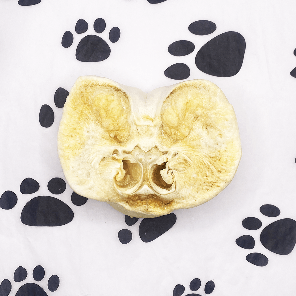 Puffed Pig Snout - Pawsitive Treats