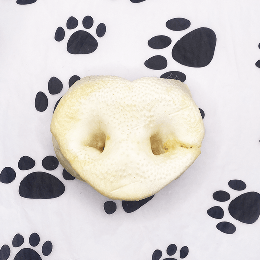 Puffed Pig Snout - Pawsitive Treats
